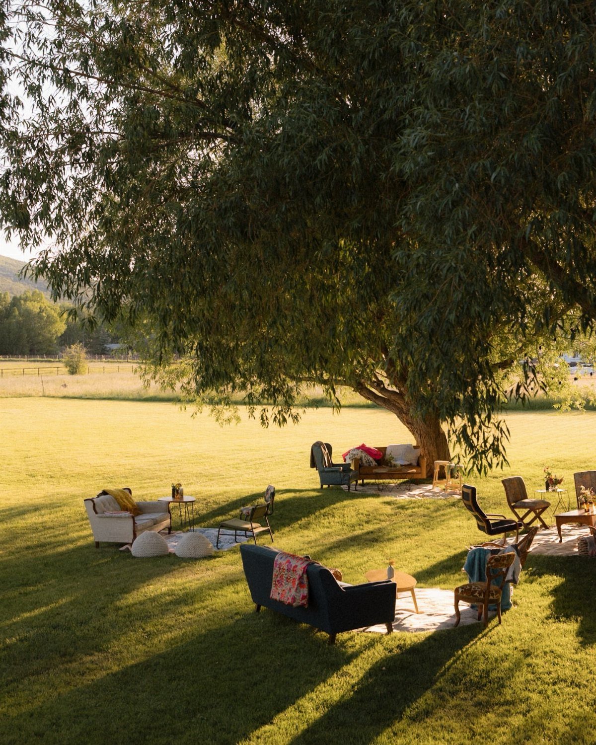 Outdoor lounge area with sofas and chairs under a large tree on a lawn