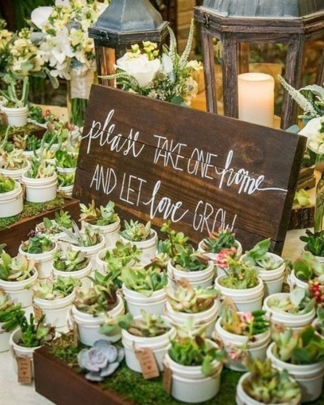 Small succulents in white pots next to a wooden sign for guests.