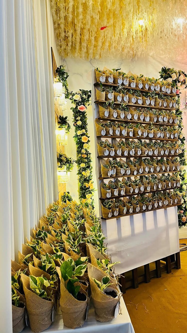 Small green potted plants wrapped in burlap displayed on a table and wall shelf.