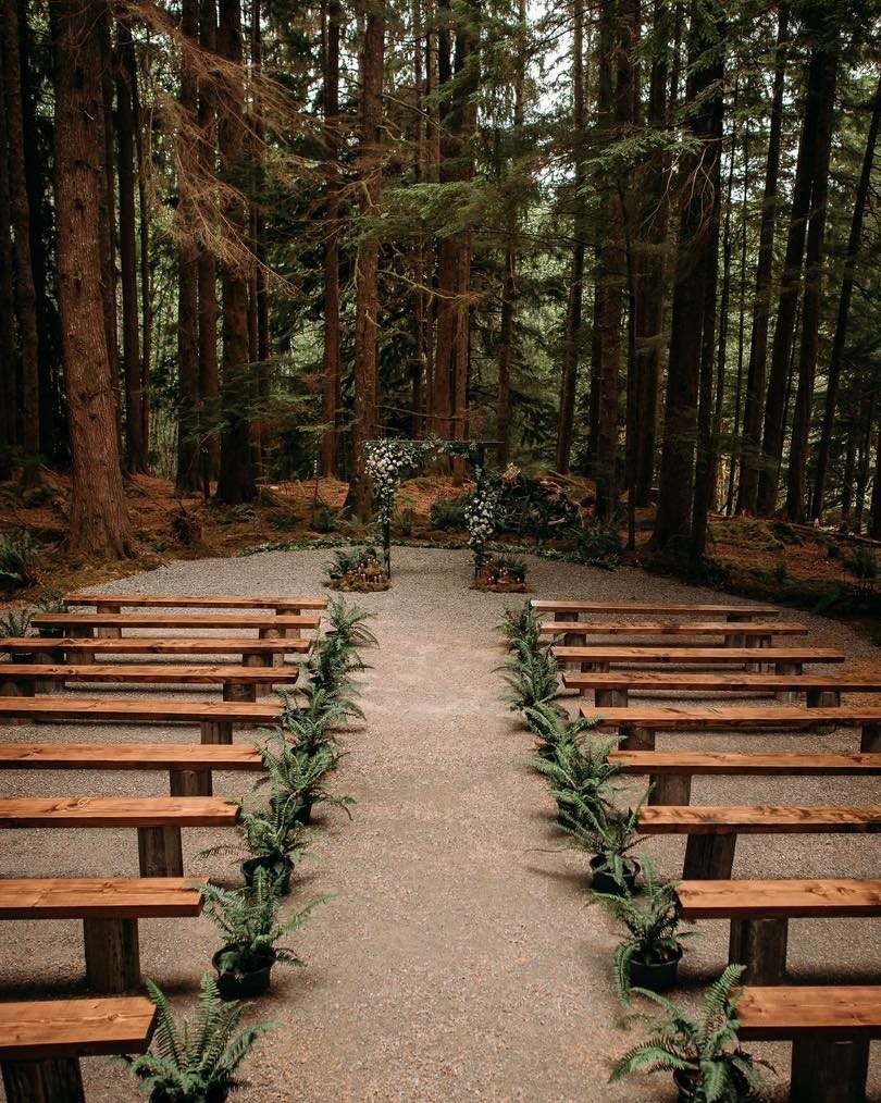 Wooden wedding benches and a floral arch set within a tall evergreen forest.