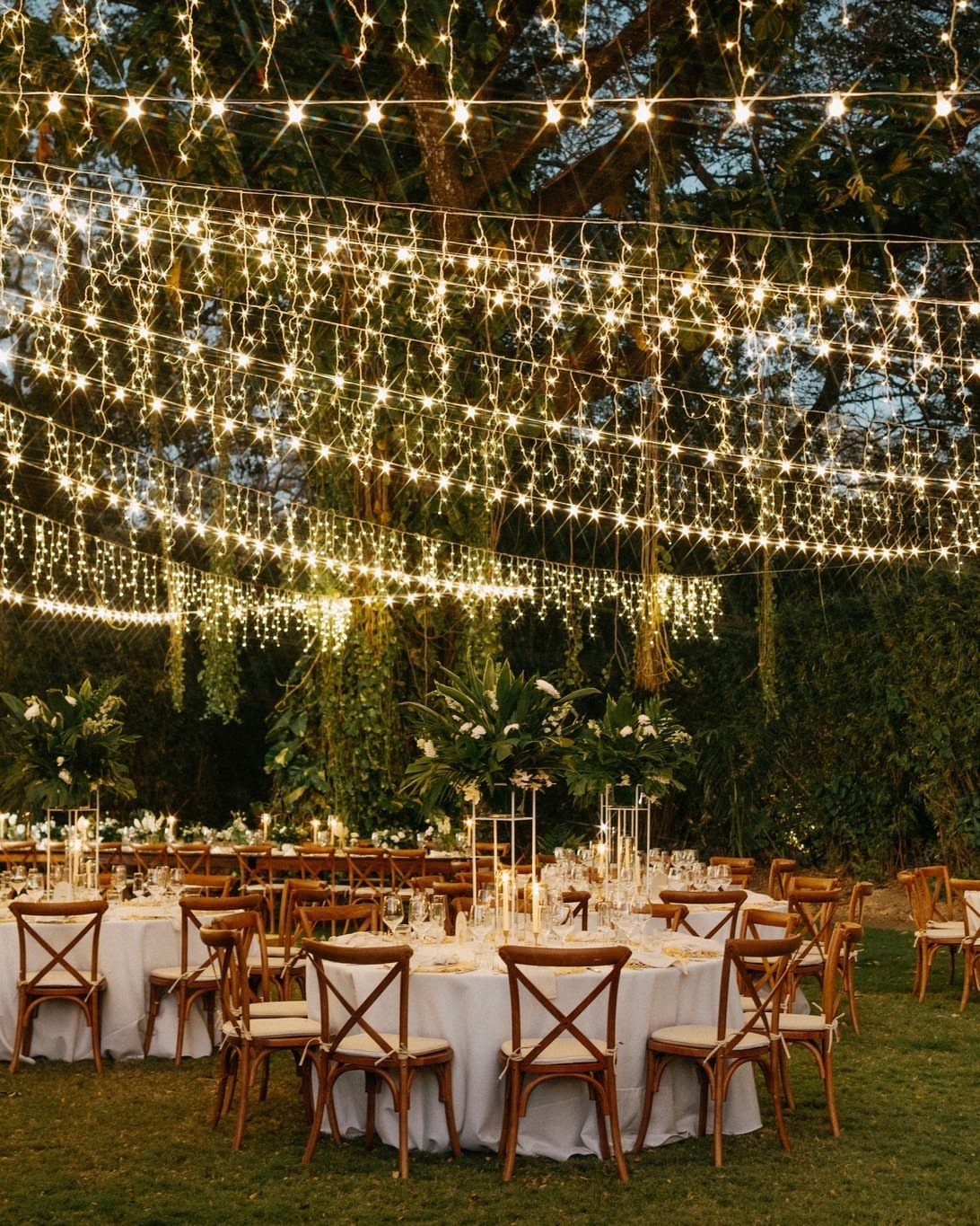 Outdoor wedding reception with white tables and wooden chairs under dense string lights.