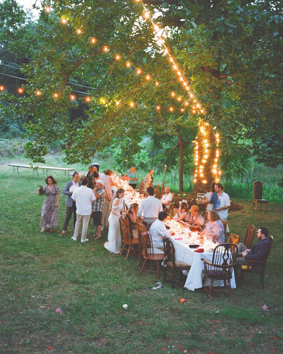 Outdoor dinner party with a long white table under a tree with string lights
