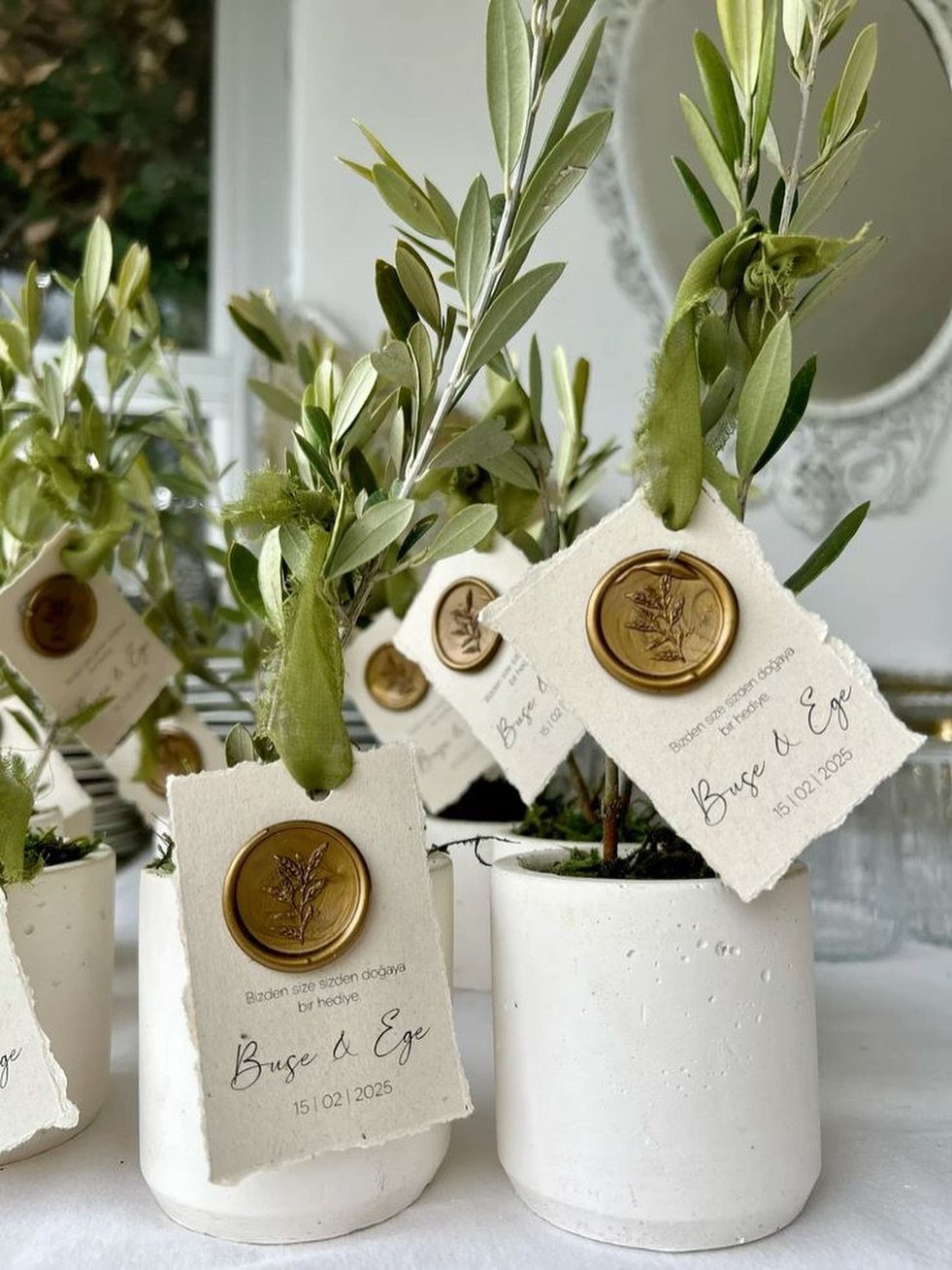 Olive trees in white pots with gold wax seal gift tags for wedding guests