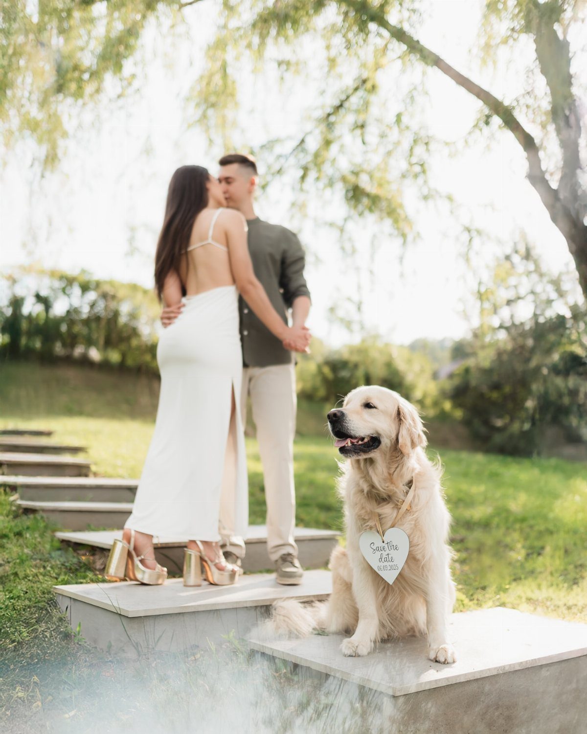 Golden retriever wearing a heart-shaped date sign with a kissing couple behind it.
