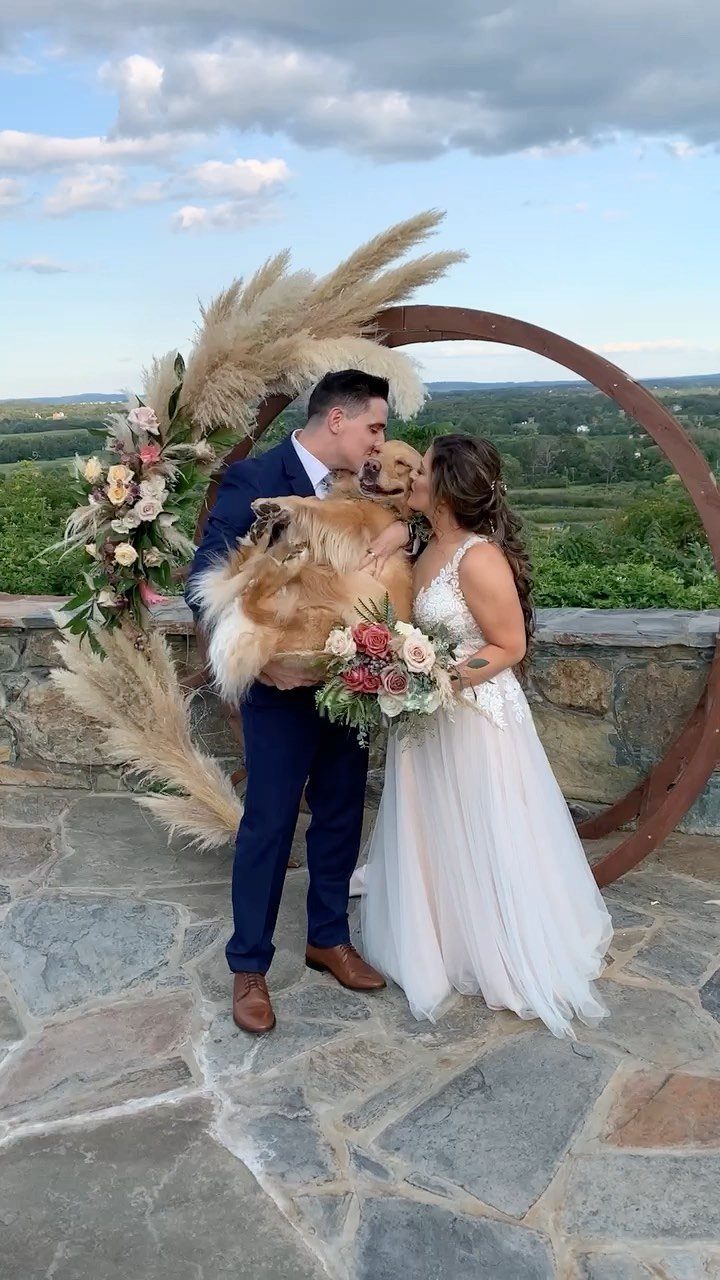 Bride and groom holding a golden dog in front of a floral wedding arch.