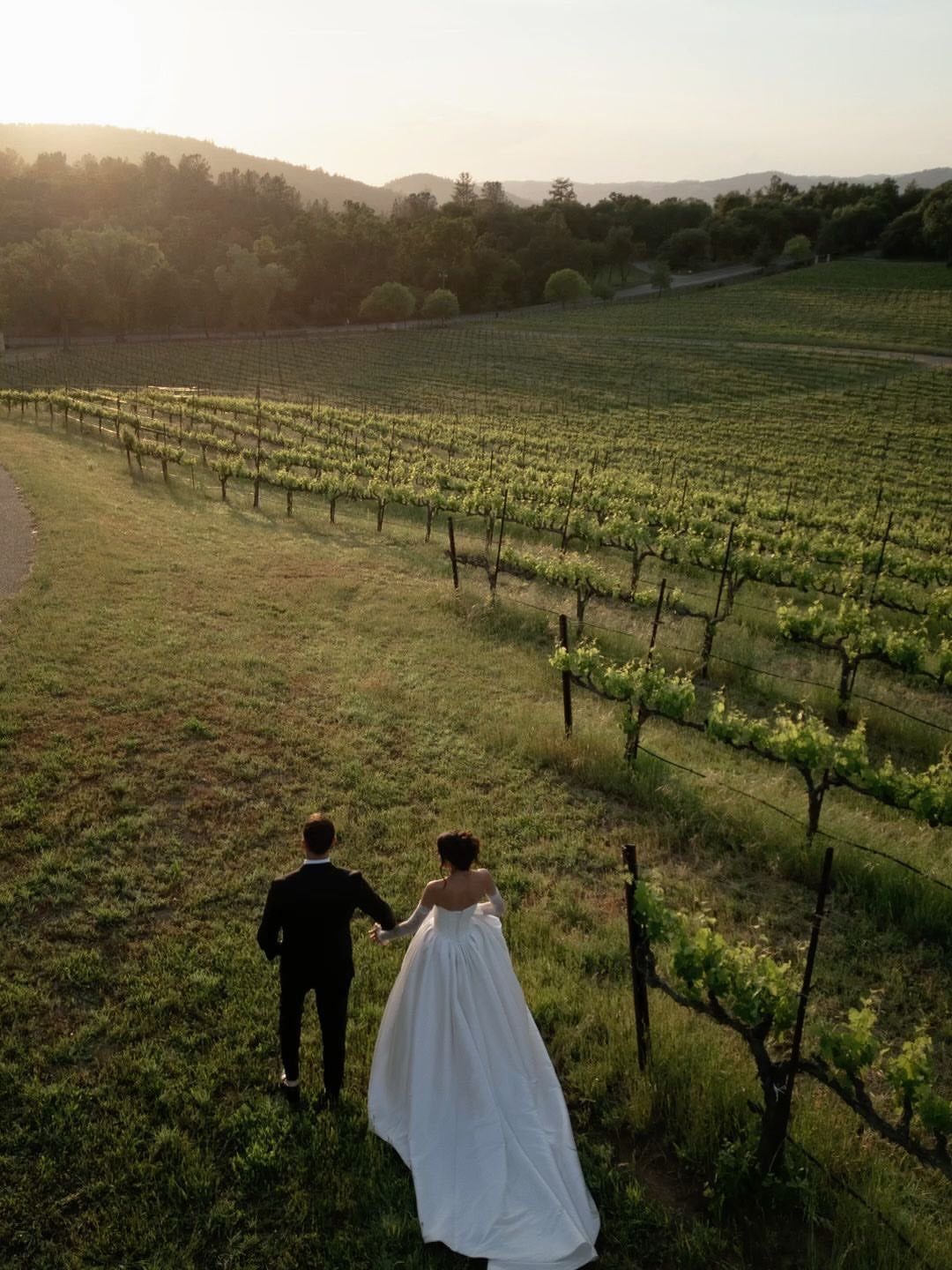 Bride and groom walking through a scenic vineyard with rolling hills at sunset.
