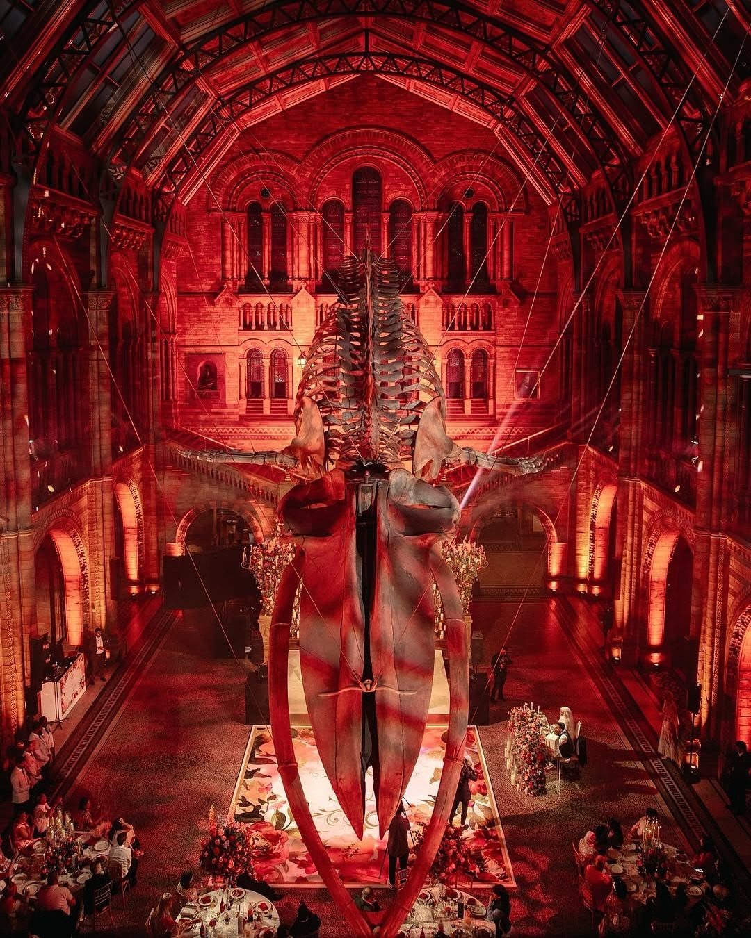Whale skeleton suspended in a red-lit grand hall with guests at dinner tables.