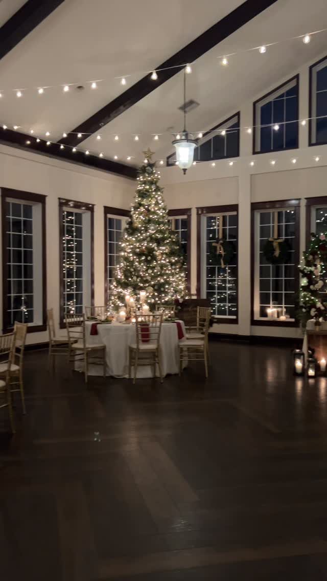 Decorated Christmas tree and dinner table with fairy lights in a winter venue.
